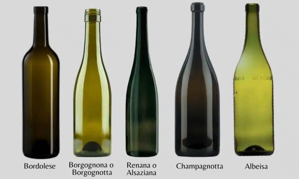 Come sono fatte le differenti bottiglie di vino?
