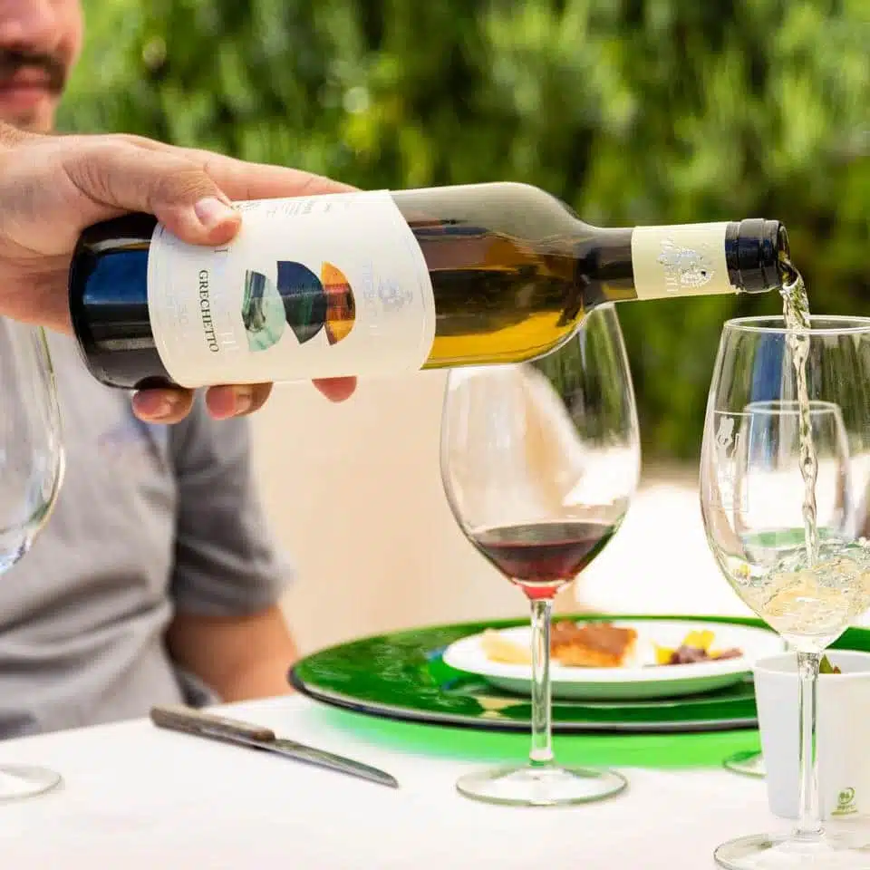 Come servire il vino Grechetto?