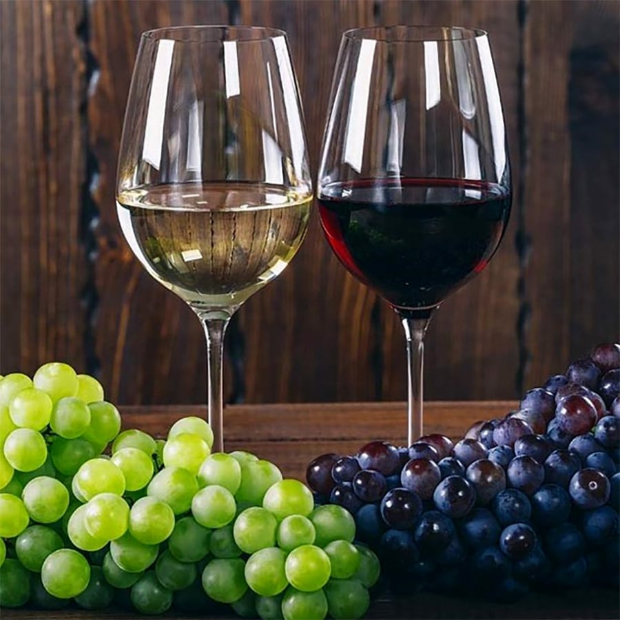 Consigli per garantire la giusta umidità alla tua collezione di bottiglie di vino